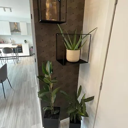 Lovely 1 Bedroom Appt With Terrace